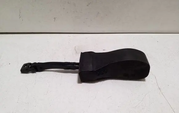 Volkswagen PASSAT B8 Rear door check strap stopper 3G5839249B 3G0839267