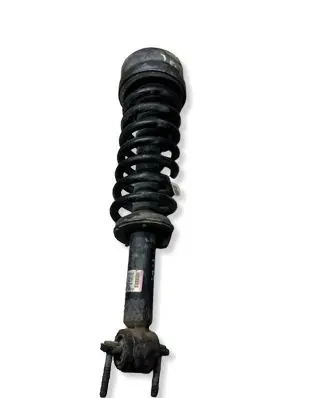 Ford F150 Front shock absorber with coil spring 191204B JL3418045GD