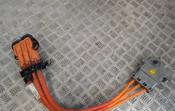 Other wiring loom