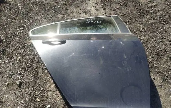 Opel Insignia A Rear door juodos