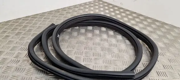 Ford Kuga II Front door rubber seal 
