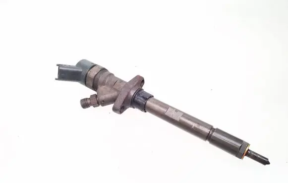 Citroen C5 Fuel injector 0445110036 9653344880