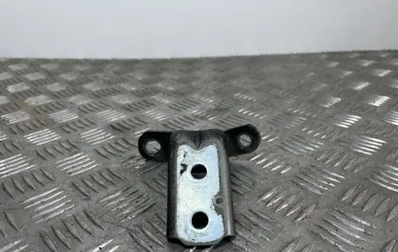 Hyundai Kona I Front door lower hinge 
