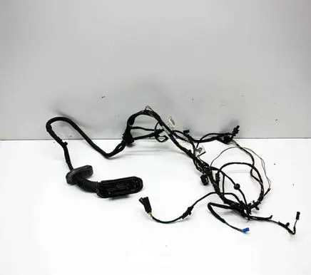 BMW 6 F06 Gran coupe Front door wiring loom 9255396