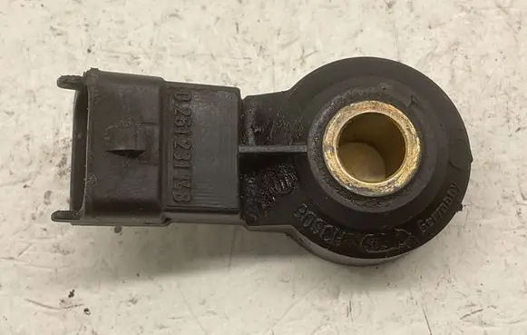 Porsche Cayenne (9PA) Detonation knock sensor 0261231148