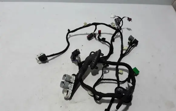 Ford Mach-E I Other wiring loom NJ8T14631PCA