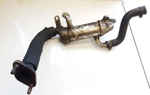 Hyundai H-1, Starex, Satellite EGR valve cooler