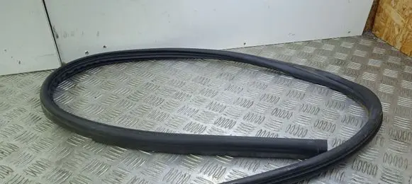 Volvo C70 Rubber seal front coupe door 31256242