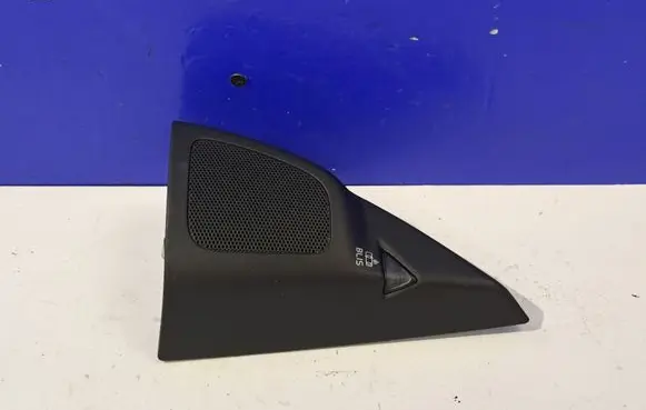 Front door speaker