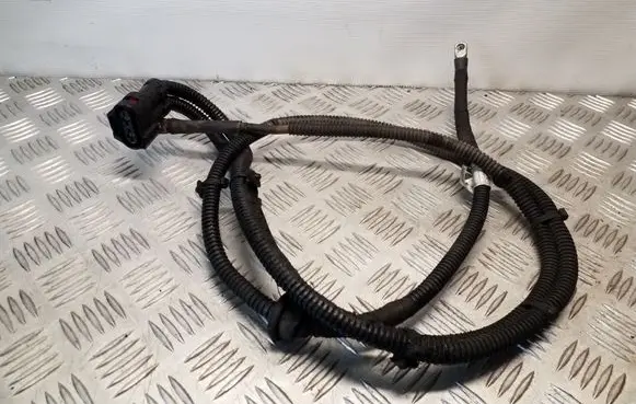 Audi A5 Sportback 8TA Other wiring loom 8K2971111A