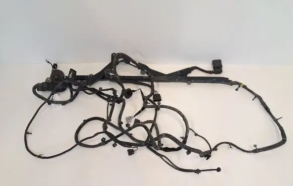 Other wiring loom