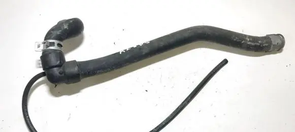 Peugeot Expert Engine coolant pipe/hose