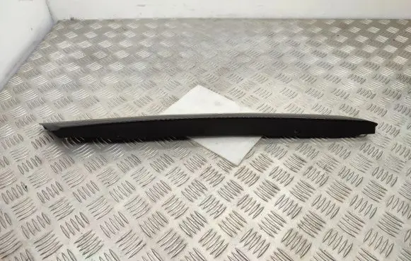 Mini Paceman (R61) Front door glass trim molding 9801509 41400002