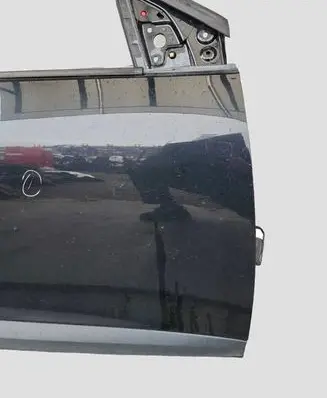Renault Megane III Front door