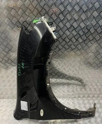 Nissan Qashqai+2 Fender