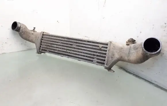 Mercedes-Benz C W202 Intercooler radiator 2025000600
