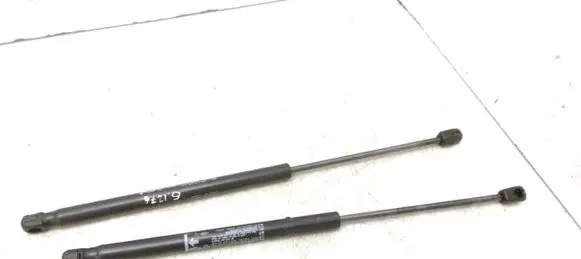 Renault Latitude (L70) Tailgate/trunk strut/damper 904520001R 8732ZC0245N