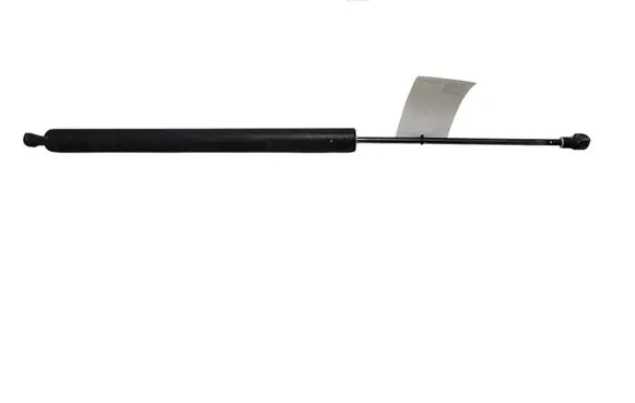 Tailgate/trunk strut/damper