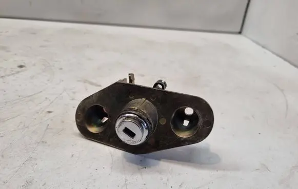 Volvo V50 Tailgate exterior lock 737700001