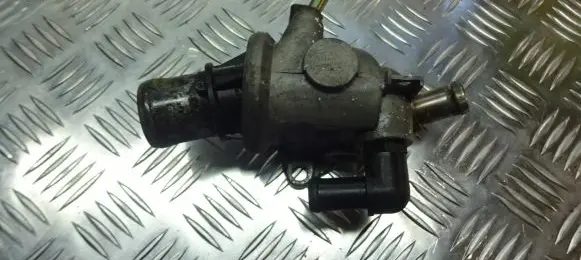 Thermostat/thermostat housing