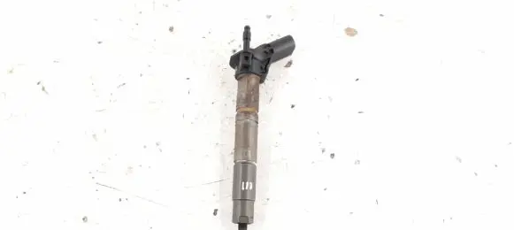 Mercedes-Benz R W251 Fuel injector 6420700587 6420701987