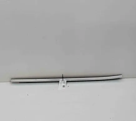 Rear door glass trim molding