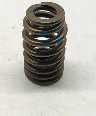 Dodge Challenger Valve spring 5037382BC