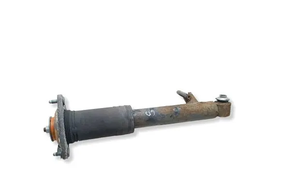BMW X5 E70 Rear shock absorber/damper 6781932