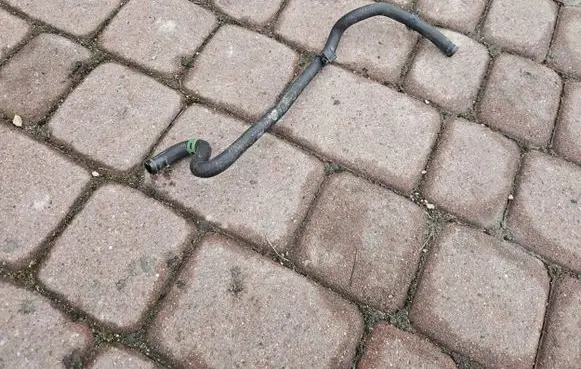 Renault Zoe Engine coolant pipe/hose 217419746R
