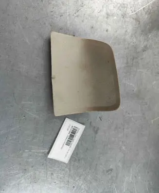 Other rear door trim element