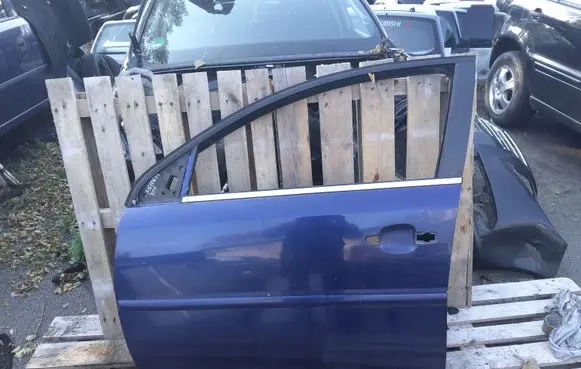 Opel Signum Front door