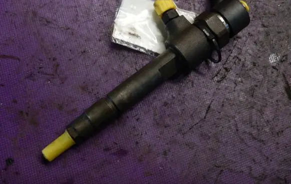 Fiat Stilo Fuel injector 0445110119