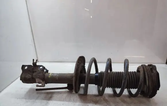 Nissan Qashqai Front shock absorber with coil spring
