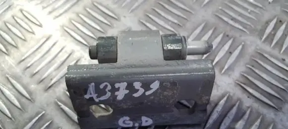 Volvo S80 Rear door lower hinge