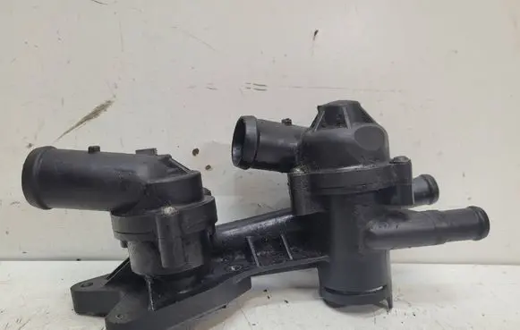 Thermostat/thermostat housing