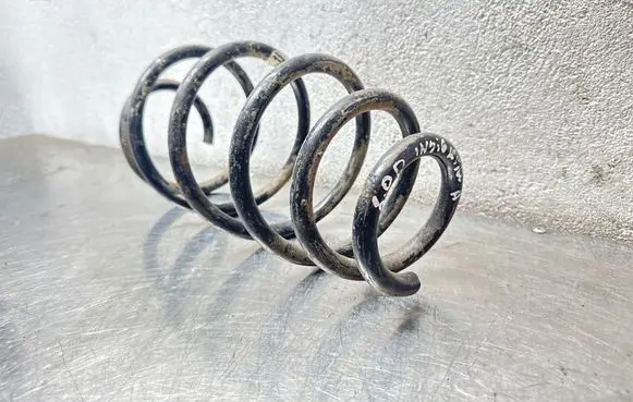 Opel Insignia A Front coil spring 