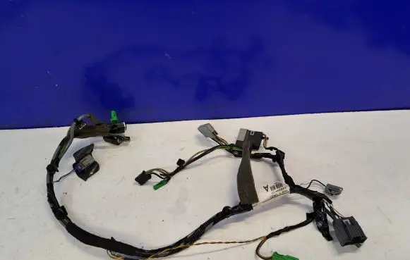 Volvo S80 Other wiring loom 31313094