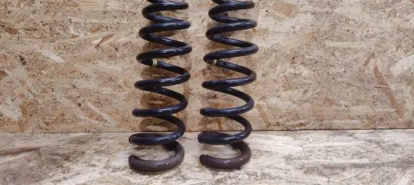 KIA Stinger Rear coil spring 55330J5200