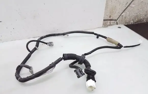 Rear door wiring loom