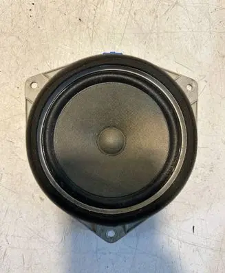 Rear door speaker