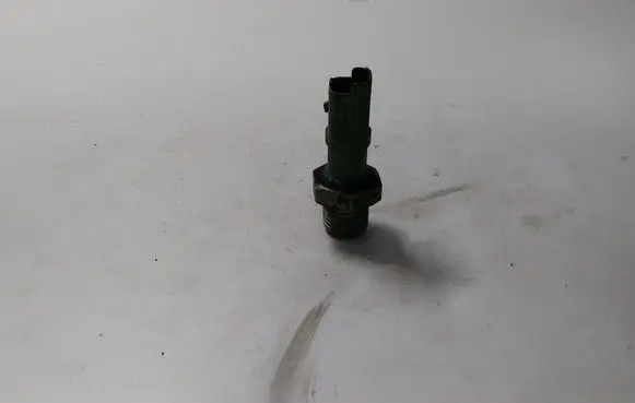 Citroen Berlingo Oil pressure sensor 9631846480