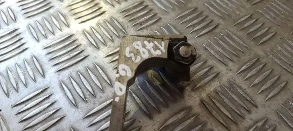 Fiat Stilo Rear door lower hinge