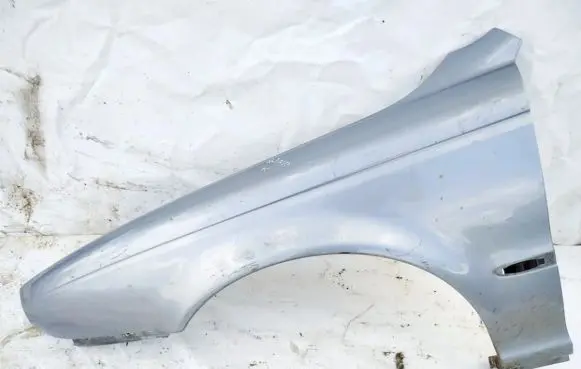 Jaguar X-Type Fender pilkas