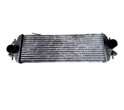 Renault Trafic II (X83) Intercooler radiator