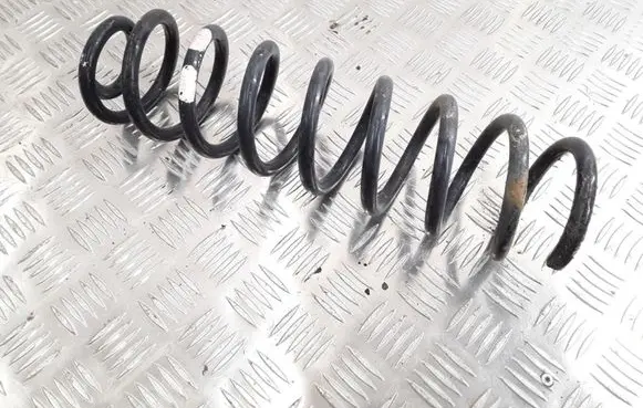 Renault Megane II Rear coil spring