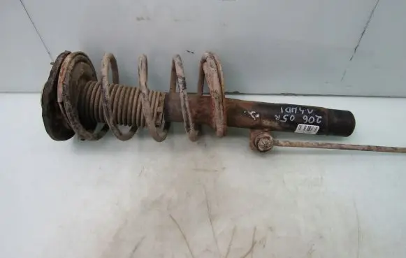 Peugeot 206 Front shock absorber with coil spring