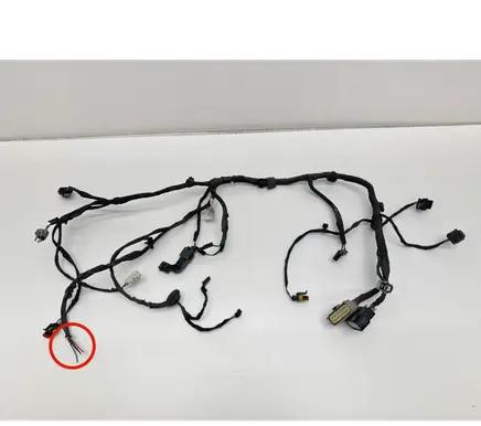 Other wiring loom
