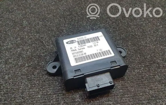 Peugeot 307 Other control units/modules 09733029903 965121218000