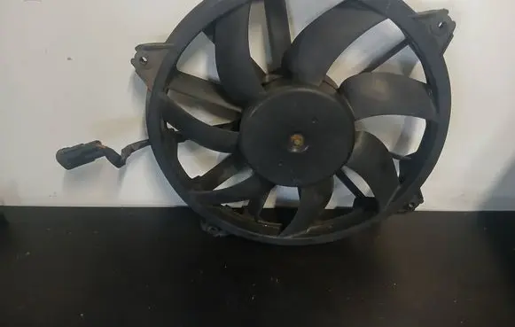 Peugeot 308 Electric radiator cooling fan 874716T