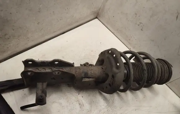 Opel Insignia A Front shock absorber with coil spring 22830748